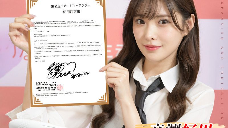 智慧解决方案实施验收标准